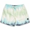 Vans Mens Mixed Volley Boardshorts