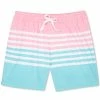 Chubbies Mens The On The Horizons 5.5" Swim Trunks