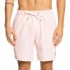 Quiksilver Men's Everyday 17" Swim Trunks