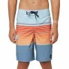 O'Neill Boy's Lennox Stretch Boardshorts