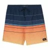 O'Neill ONeill Mens Myriad Volley 17" Boardshorts